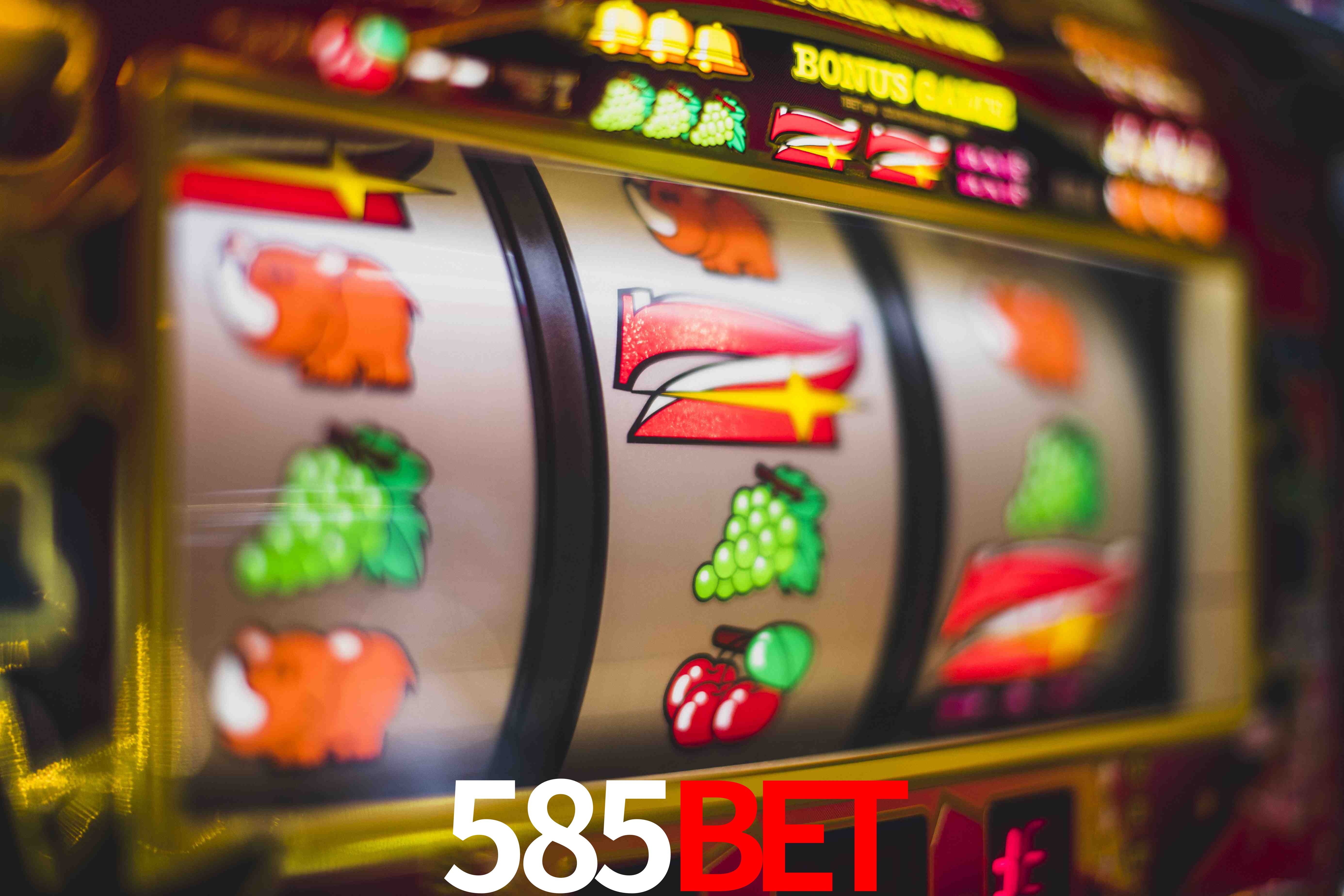 Crash Games Statistics 585bet